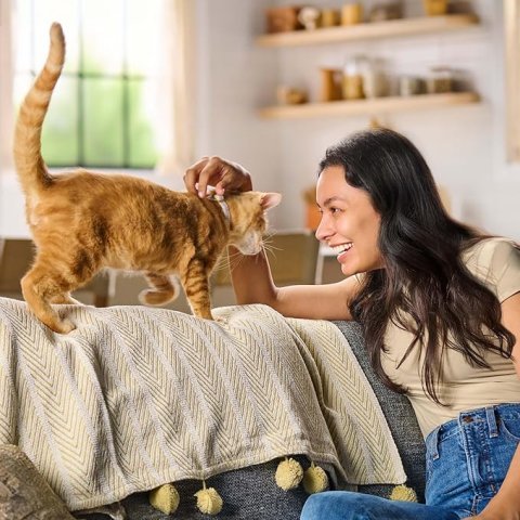 Buy Meow Mix Original Choice Dry Cat Food 6.3 lb Bag | Complete and Balanced Adult Cat Food for Everyday Nutrition