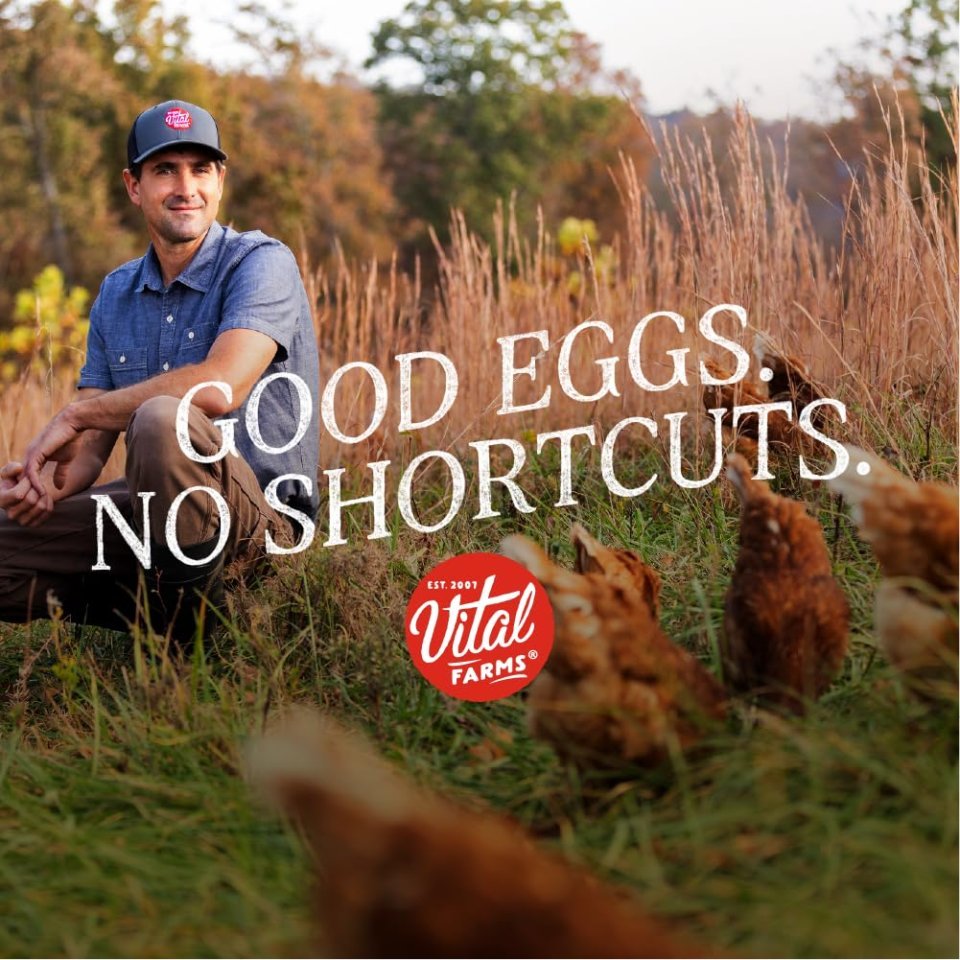 Organic Pasture Raised Eggs | Farm Fresh Organic Eggs for Healthy Daily Nutrition