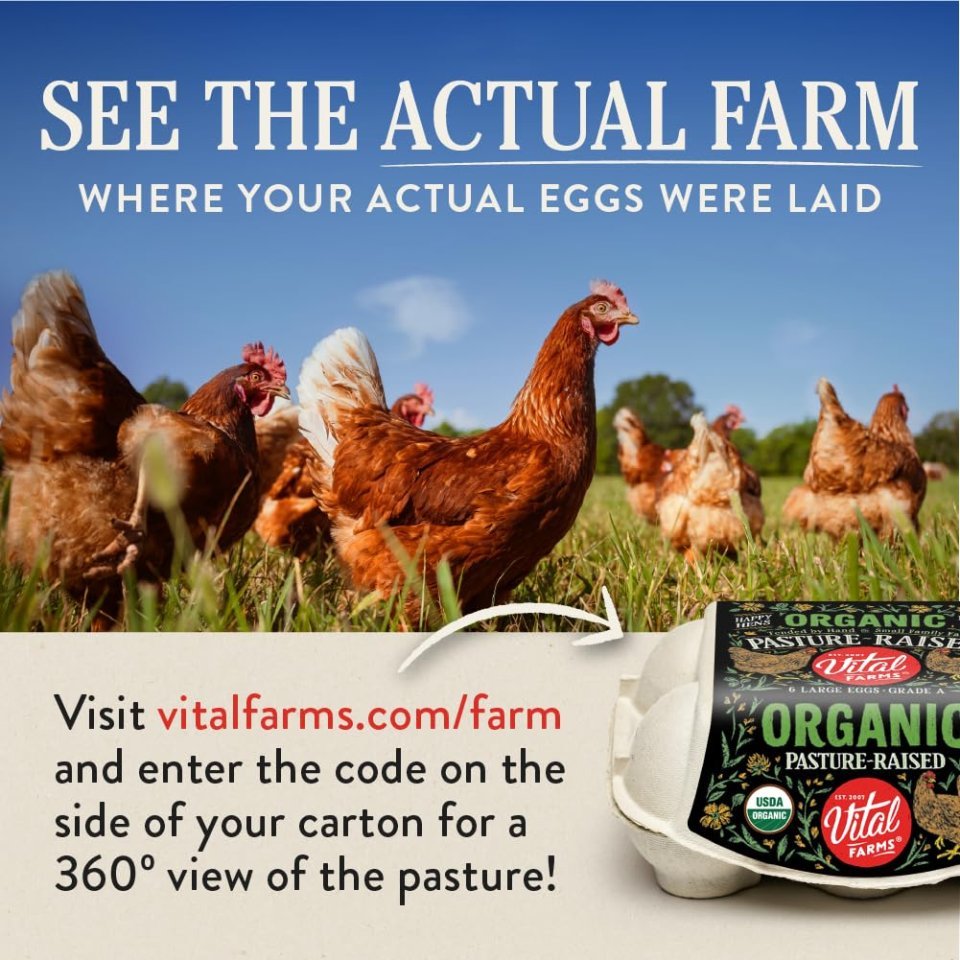 Organic Pasture Raised Eggs | Farm Fresh Organic Eggs for Healthy Daily Nutrition